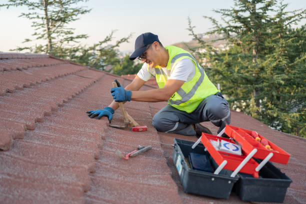 Best Residential Roofing Contractor  in Wyoming, IL